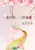 一条四爷，二饼福晋