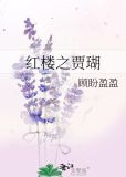 红楼之贾瑚