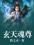 玄天魂尊小说